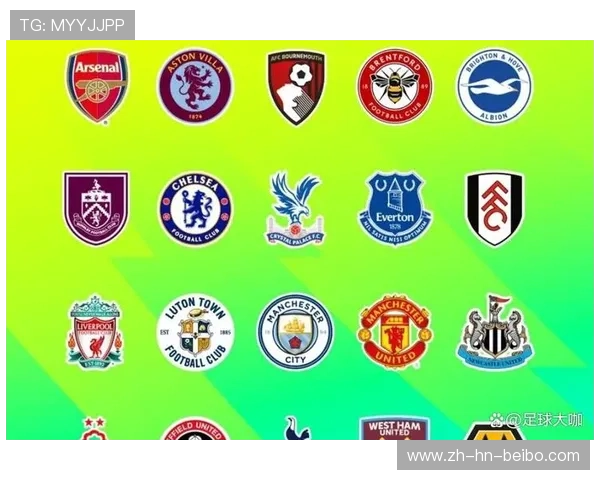 英超红花图标球队介绍